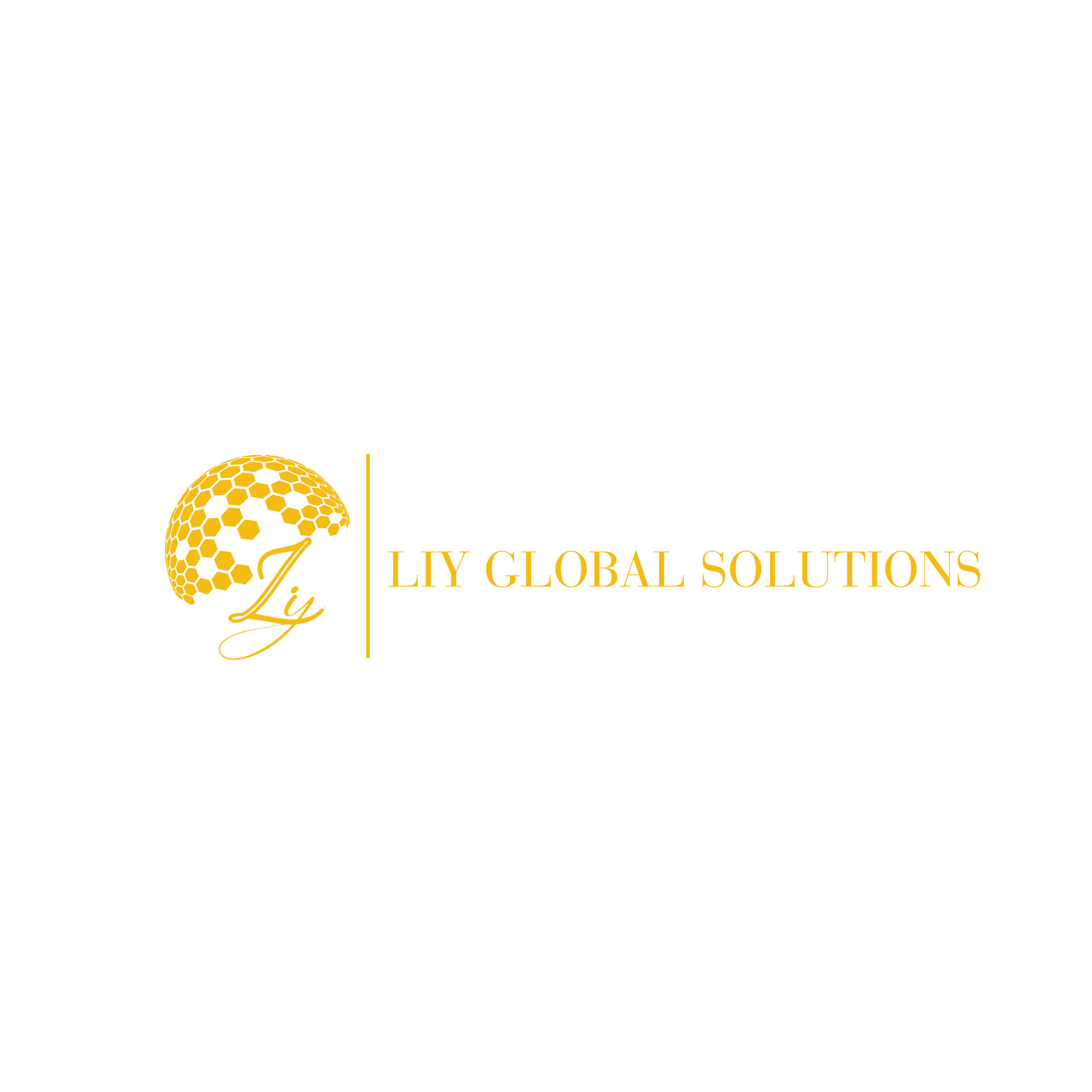 LIY Global Solution